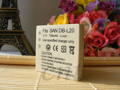 Batteria per l20 - batteria,